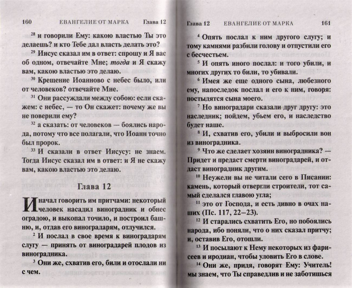 Ев (Сиб. Благ) на р/яз, мягк.п. (газ) (уценка)