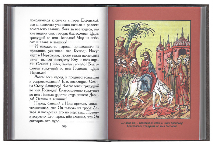 Евангельская история. Путеводитель по Святому Евангелию (ПВ) (уценка)