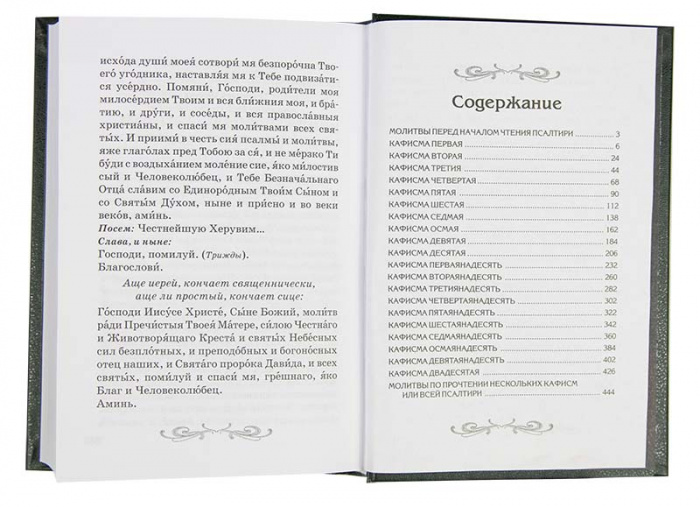 Пс (Лепта) с параллельным переводом на русский язык (ТИРАЖ 2025 г.) (уценка)