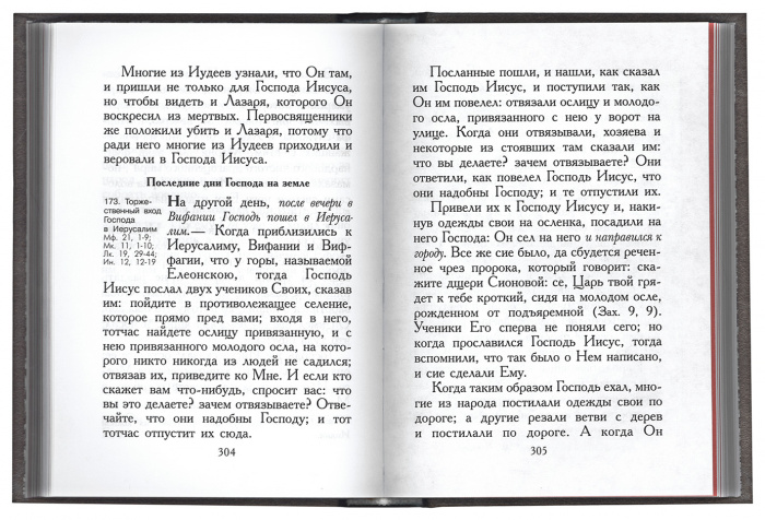 Евангельская история. Путеводитель по Святому Евангелию (ПВ) (уценка)