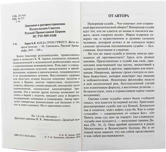 Когда гром грянул. Жить вопреки болезни. Зорин К.В.  (уценка)